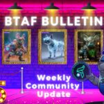 🪙 BTAF BULLETIN – 7 December 2025 #123