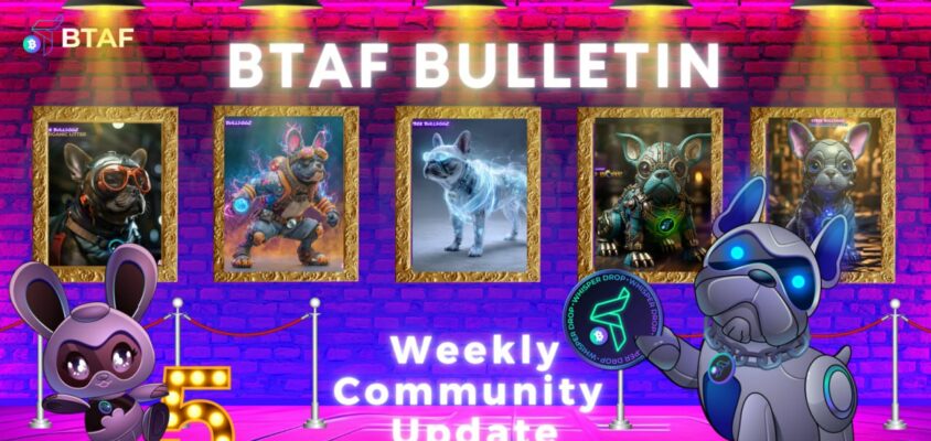 🪙 BTAF BULLETIN – 7 December 2025 #123